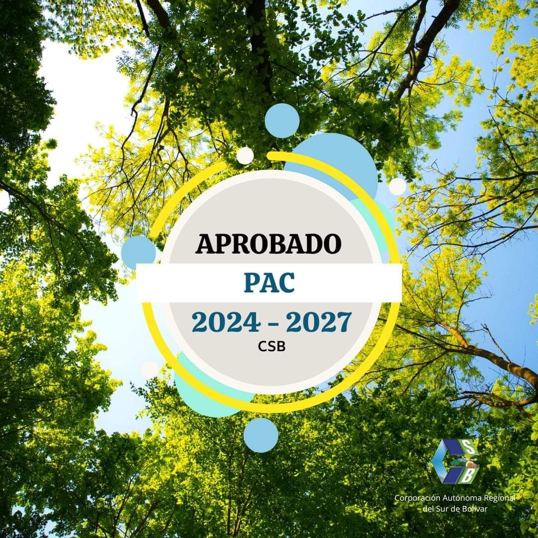 Plan de Acción VF (2024-2027)